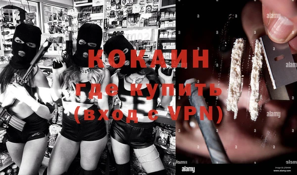 шишки Ростов
