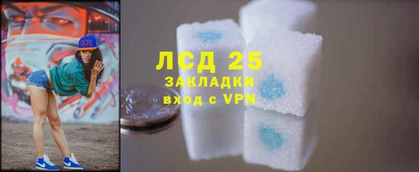 шишки Ростов