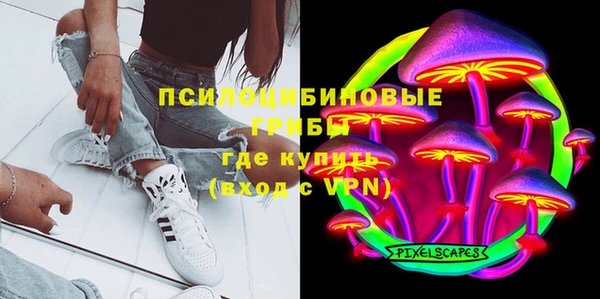 гашик Пролетарск