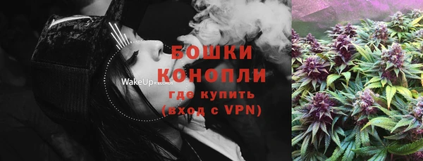 шишки Ростов