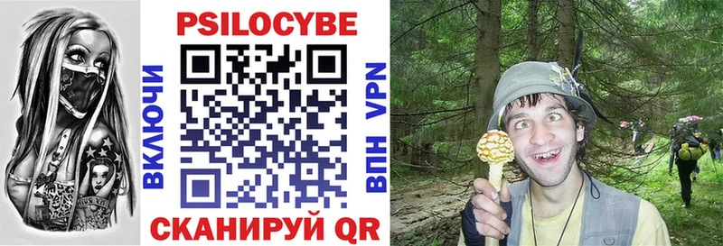 Псилоцибиновые грибы мицелий  Купить  Ардатов 